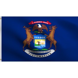 DMSE Michigan 26th State 1837 Flag 2X3 Ft Foot 100% Polyester 100D Flag UV Resistant (2' X 3' Ft Foot)