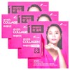 Ever Collagen In&Up Plus 750mg / 에버콜라겐 인앤업플러스 750mg X