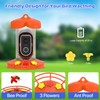 Hummingbird Feeder with Camera for Outdoor - 2K QHD Video,