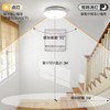 ICHIYO LED Motion Sensor Ceiling Light, Small, Daylight White, 1100
