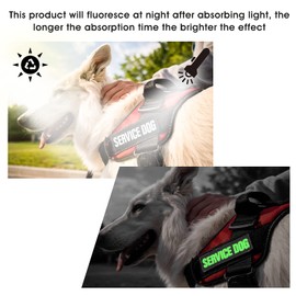 Molain Luminous Dog Vest Patches, 6 Pcs Removable Dog Harness Patches with Hook, Custom Name Patch Service Dog, In Training, Service Dog In Training, Therapy Dog, Emotional Support, Do Not Pet, White