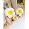 Hawaiian Flower Hair Clips,Artificial Tropical Flower Hairpins,3pcs Foam Plumeria Clips