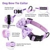 Dog Harness and Lead, Bow Tie Collar Set with Dog