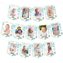 Balterever Donut 1st Birthday Boy Blue Donut Photo Banner, 8.3" x 6.3" Rectangular Banner, Durable Paper, Wall Mount, Party Decoration