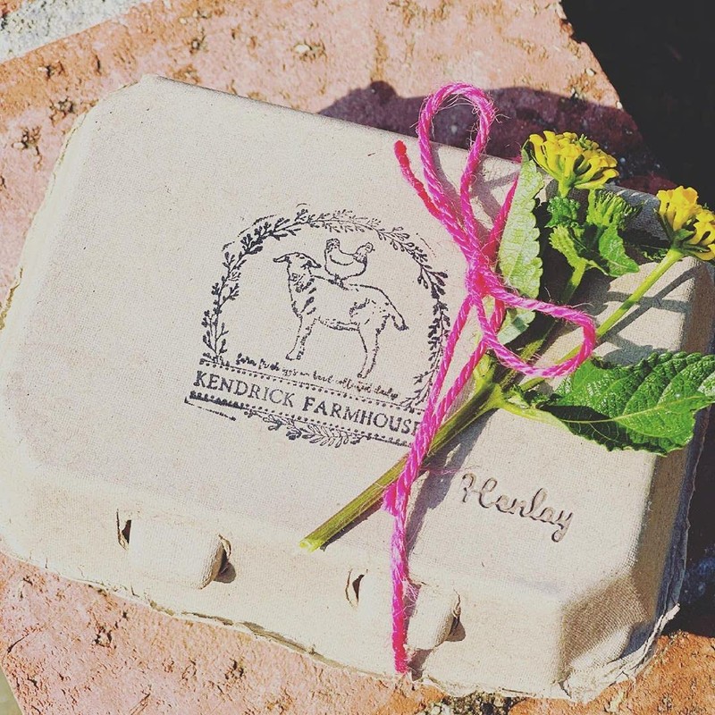 Half Dozen Egg Cartons- Henlay Blank Flat Top Six Pack