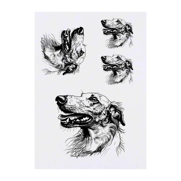4 x 'Borzoi Dog Portrait' Temporary Tattoos (TO00073024)