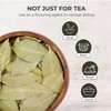 Bay Leaves Tea - 550 Dried Whole Leaves, 4.06 oz,