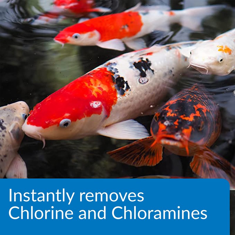 API POND AMMO-LOCK Ammonia detoxifier For Pond Water 64-Ounce Bottle