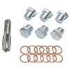 STRAIGHT 18-700 Oil Drain Hole Correction Kit for M0.5 x