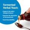 Strath Fermented Herbal Yeast Postbiotic - (8.4 Fl oz) Daily