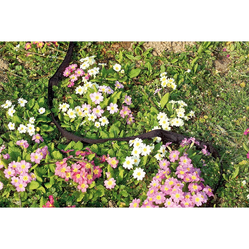 Royal Gardineer plant watering system "Eco" flat perl hose, including