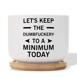 DecStic Let's Keep The Dumbfuckery to A Minimum Today Planters Ceramic Bible Verse Round Flower Pots with Drainage Holes and Bamboo Tray Pot for Home Desktop Office Windowsill