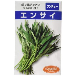Futaba Seedlings Vine Enchai (Leaf Vegetables), Seeds, Small Bag Pack (0.7 fl oz (20 ml)