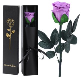FRFG Eternal Rose, Preserved Natural Rose with Stem Gifts for Women, Anniversary Birthday Gift Mother's Day Valentine's Day for Mom Girlfriend Women (Purple Lavender)