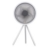 Tripod Desk Fan with Light USB Rechargeable Battery Operated 3