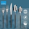 Amefa Soprano 20-piece Flatware Set - Sliver & Black