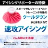 Body Maker Icing Bag Ice Pack (X) Pink iceb3pi