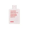 evo Ritual Salvation Sh 300 ml
