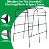 Garden Trellis Arch for Climbing Plants Outdoor - 84 x