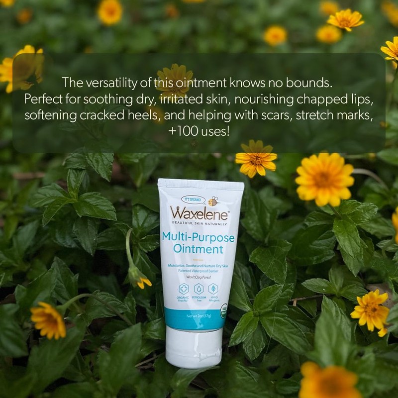 Waxelene Multipurpose Ointment Travel Tube, Organic Aerated Balm the Petroleum