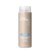 Instant Moisture Daily Shampoo by Paul Mitchell for Unisex -