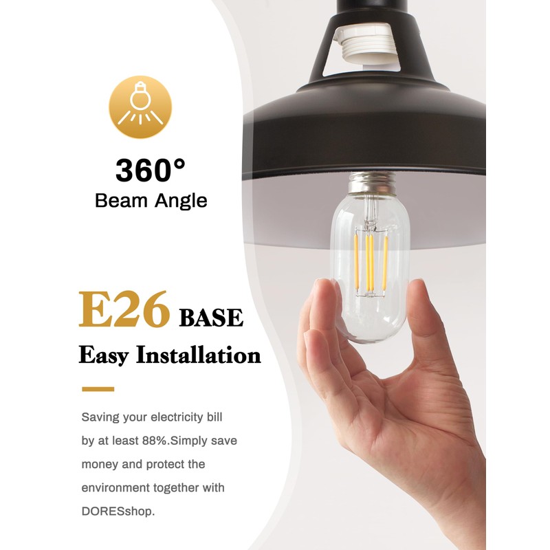 4 Pack LED Edison Bulbs, 4W Edison Light Bulbs, Antique