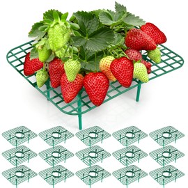 GouZaak 16 Pack Square Strawberry Supports Stand for Garden Strawberry Growing Racks for Keeping Garden Strawberry Clean (Green)