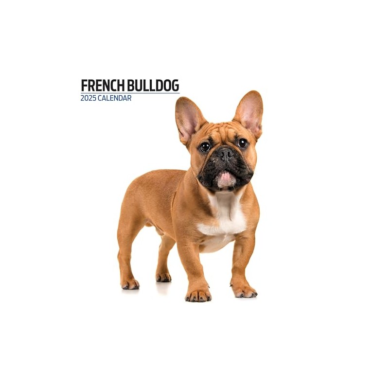 Modern Calendar 2025 French Bulldog
