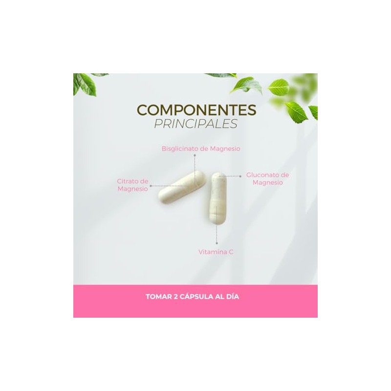 BIOSUPLE | Magnesio de alta absorción | 90 Cápsulas, Adicionado