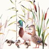 20 Napkins Wild Ducks with Chicks | Animals | Pond