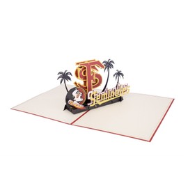 Pop Up Birthday Greeting Cards - Cute 3D Anniversary Card,Thanksgiving Pop Up Card,Card for Wife,Card for Mom Thank You Card by AiT paper art