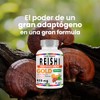 Purely Organics | Reishi Gold 650 mg con Cúrcuma, Té