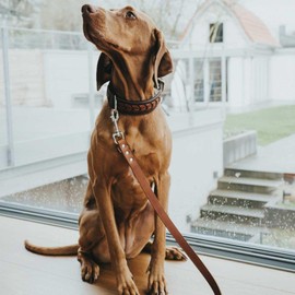 HUNTER Training leash, 16/200 Soft genuine cow leather, cognac