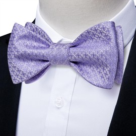 DiBanGu Pajaritas de seda para hombre, pajarita tejida de cachemira a rayas lisas y gemelos de bolsillo para esmoquin de boda, color lila