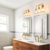 HAHZT Gold Bathroom Vanity Light 3-Lights Bathroom Light Fixtures Over