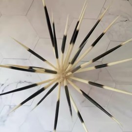 WLngtv 6 Pcs Black and White Porcupine Quills Hair Stick Indian Crafts Accessories Fishing Buoy DIY Sewing Project Kits,Sewing