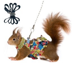 Squirrel Leash and Harness Set, Squirrel Traction Rope Strap, Ferret Squirrel Harness Vest, Adjustable Flora Small Animal Harness Vest for Ferret, Squirrel, Dwarf Chinchilla, Guinea Pig, Fancy Rat
