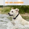 Dog Training Collars with Remote - Shock Collar for 2