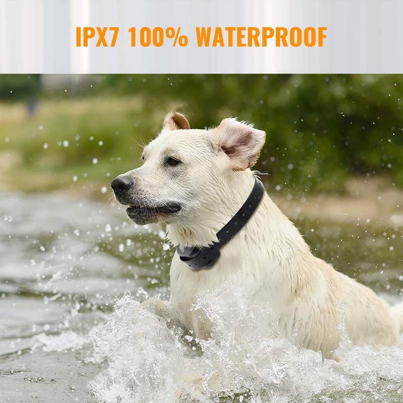 Dog Training Collars with Remote - Shock Collar for 2