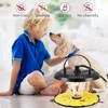 Flea Trap Indoor 2Pcs,Flea Strap Flea Killer Trap Pad Bed