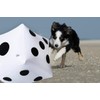 CCINEE Jumbo Dice 30cm Giant Big Beach Ball Jumbo Dice