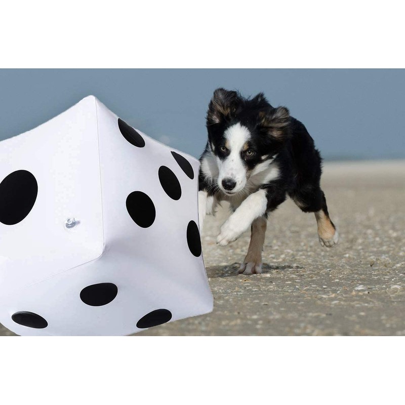 CCINEE Jumbo Dice 30cm Giant Big Beach Ball Jumbo Dice