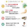 Dainichi Healthy Foods Natural Power Saw Palmetto (Saw Palm), 60