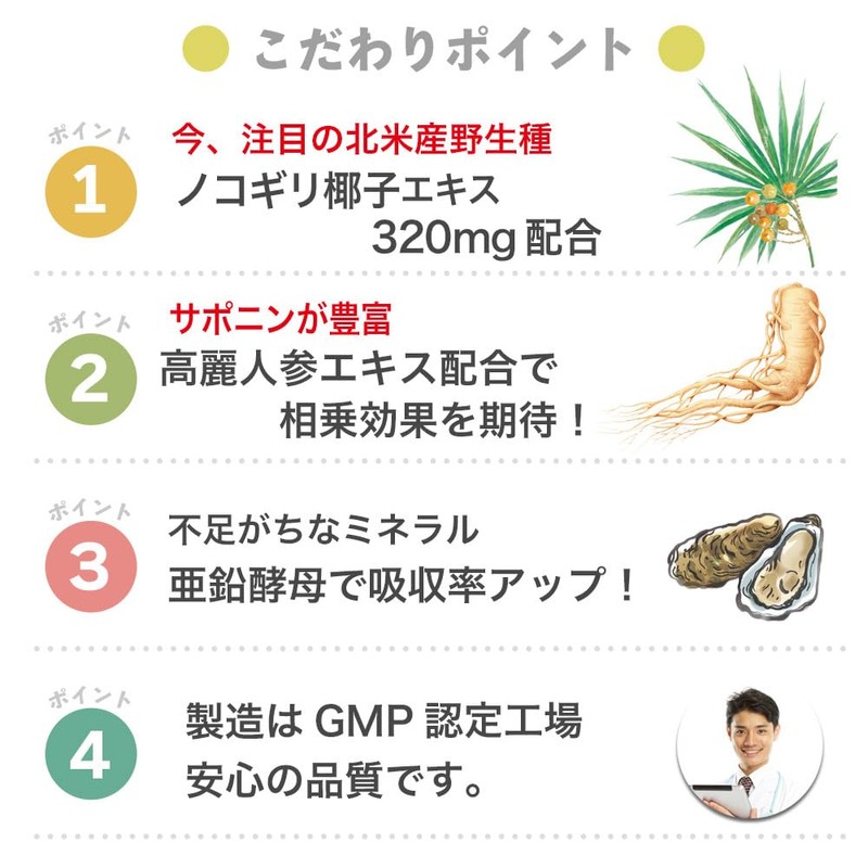 Dainichi Healthy Foods Natural Power Saw Palmetto (Saw Palm), 60