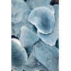 3 Pounds Of High Quality RARE Blue Georgetown Flint (Big