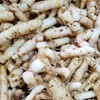 자연닮음 국산 볶은 둥굴레 300g 황정 둥굴레차 Natural Imitation Domestic