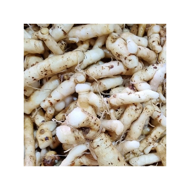 자연닮음 국산 볶은 둥굴레 300g 황정 둥굴레차 Natural Imitation Domestic