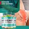 VigorVita Gummies, Maximum Strength Formula, Extra Advanced Gummy, Premium Blend