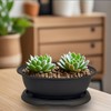 MUZHI 3 Pack Oval Bonsai Training Pot with Drainage Tray,