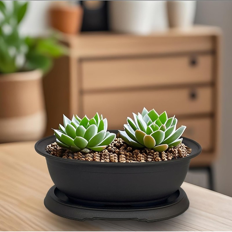 MUZHI 3 Pack Oval Bonsai Training Pot with Drainage Tray,